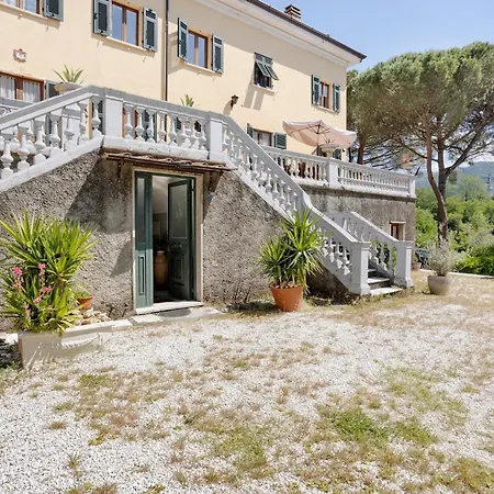 Pini * Sarzana
