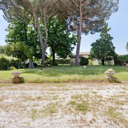Pini * Sarzana