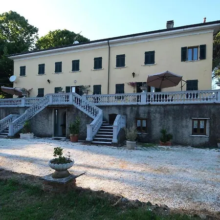 Pini Sarzana