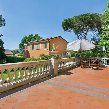 Pini * Sarzana