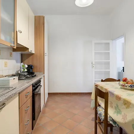 Pini Sarzana