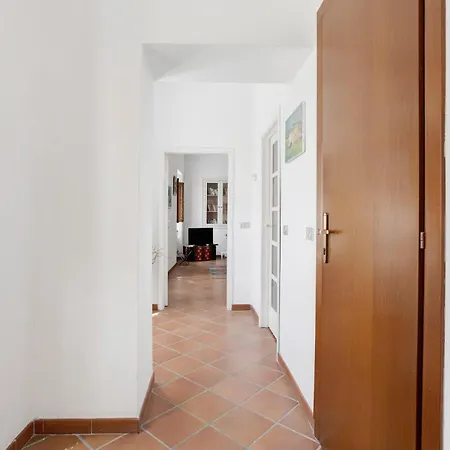 Pini * Sarzana